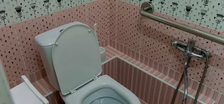 Meeting Diverse Needs With Accessible Restroom Solutions in Windsor, CA