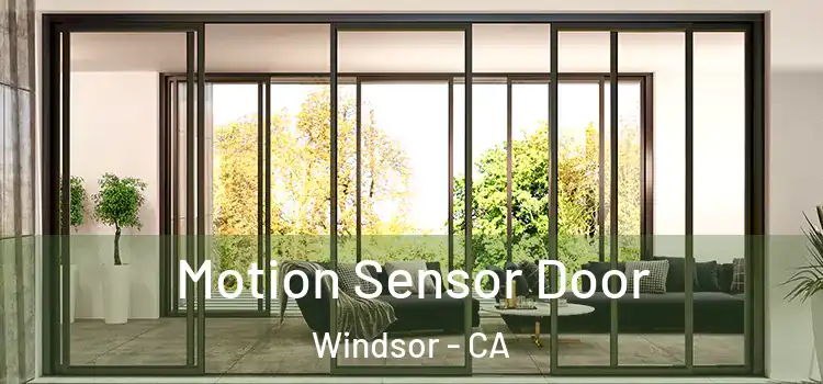  Motion Sensor Door Windsor - CA
